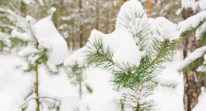 Все так ждали снега, а теперь он идёт не прекращаясь