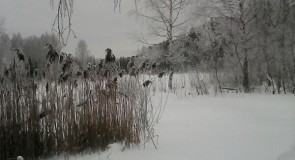 Выходи гулять!