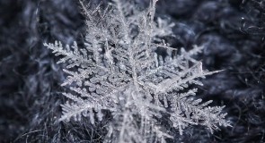 Декабрьские снежинки!