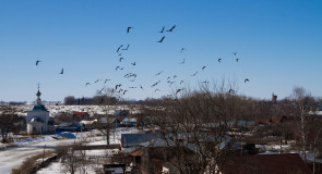 Зима в Суздале от Ивана Кузьмина