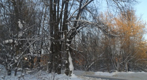 Из архива, февраль прошлого года