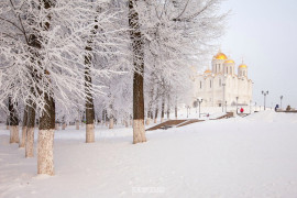 2016.01.16 Иней во Владимире