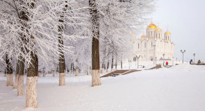 2016.01.16 Иней во Владимире