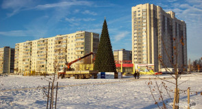 Ковровская ёлочка