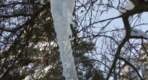 Конкурс сосулек