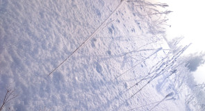 Окрестности Мурома Winter morning