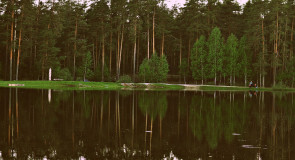 Парк «Сказка», Гусь-Хрустальный