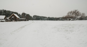 Поездка в Клязьминско-Лухский заказник