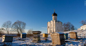 Покрова На Нерли и пасека