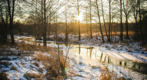 Прекрасные пейзажи Мстёры