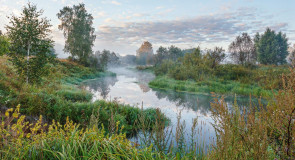 Природа Александровского района