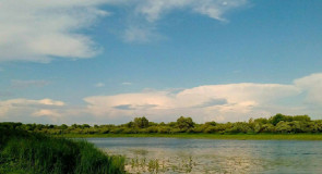 Природа в окрестностях Мурома