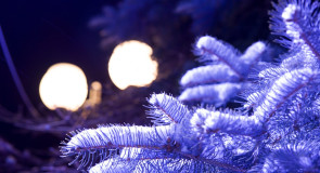 С Новым Годом!