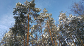 Солнечное настроение на Вербовском