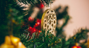 Уголок новогодних расцветок