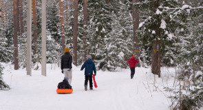 Хорошие выходные в Гусь-Хрустальном