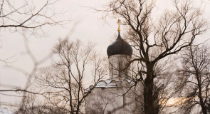 Храм Покрова на Нерли и голые ветки деревьев