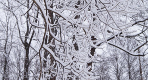 Чем занять себя в январские праздники 2016 во Владимирской области