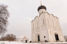 Черный пёс у Покрова На Нерли