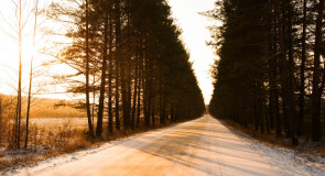 Январское утро. Солнечно и морозно.