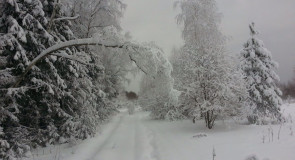 В лес верхом. Киржач