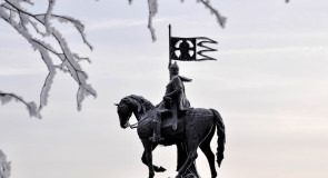 Владимир Снежный