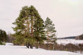 Владимирская область, село Чамерево