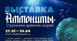 Выставка «Аммониты – странники древних морей»