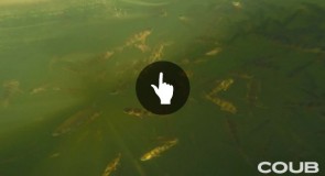 Вязниковское заречье