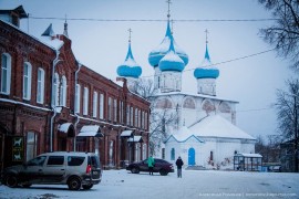 Гороховец купеческий