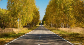 Дорога Ковров-Мстера