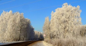 Дорога на Мстёру из Вязников 16.01.2016