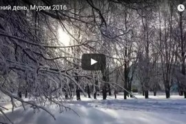 Зимний день, Муром 2016