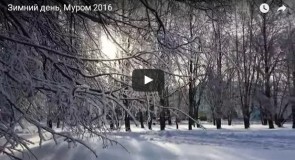 Зимний день, Муром 2016