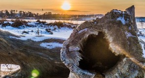 Коряга и закат