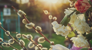 На природе в Муроме