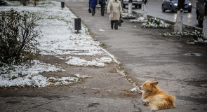 Однажды на улицах города. Муром, октябрь 2015 года.
