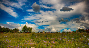 Просторы Суздаля 2015 от Владимира Рашкована