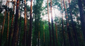 Россия, Владимир, пгт. Красная Горбатка | Матвеевка