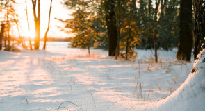 Солнечное настроение от Антона Блинкова