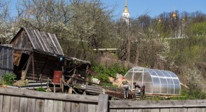 Тоже Владимир 📷 Виктор Колесников