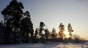 г. Гусь—Хрустальный, окрестности 24.01.2016