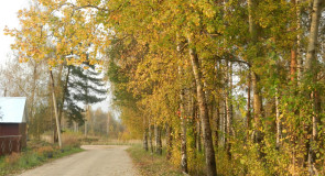 г.Киржач, осень