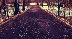 Россия, Владимир, пгт. Красная Горбатка | парк «Землянина». Ноябрь 2015