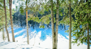 28/02/2016 Солнечный февраль на Вербовском