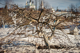 В монастырском саду. Суздаль