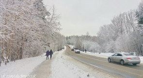 Вы уже проводили зиму?