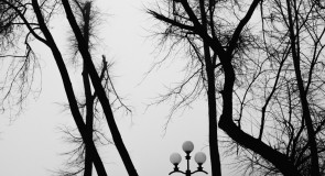 Весна 2016 (Сергей Кравцов)