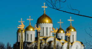 Владимирская весна 2016 Владимира Рашкована