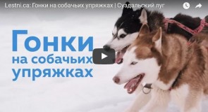 Гонка «Суздальский луг» 2016